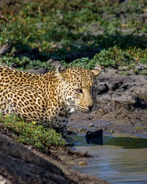 © www.theguys.co.za